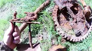 Богатая лесная дорога!