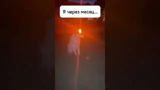 Памагиииити