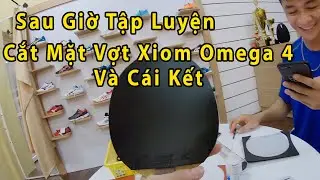 Bóc Tem Combo Xiom Sau Giờ Tập // Cắt Mặt Vợt Xiom Omega 4 Và Cái Kết // Bóng Bàn Nghiệp Dư - BBND