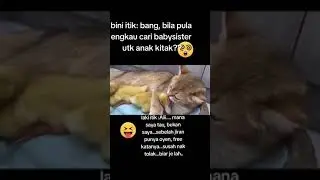 IBU KUCING NAK SUSUKAN ITIK