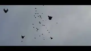 21 декабря 2023 г.
