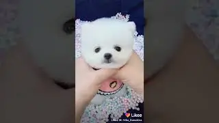 ОООЙ МИЛОТА