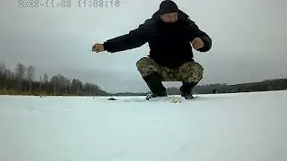 Красавчики Окуня на удочку и балансир !!!