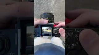 Shooting film can be really relaxing.