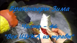 Браконьеры. Зима. Часть - 46 
