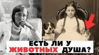 ЧТО НА САМОМ ДЕЛЕ ПРОИСХОДИТ С ДУШОЙ ЖИВОТНЫХ?