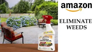 HOW TO GET RID OF WEEDS WITH SPECTRACIDE WEED & GRASS KILLER | AMAZON FINDS!!