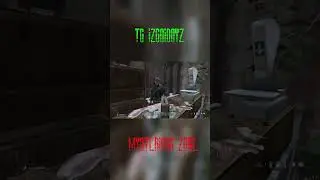НА СЛУЧАЙ ВАЖНЫХ ПЕРЕГОВОРОВ #shorts  #dayzrp #stalker2  #roleplay #stalkerrp #mysteriouszonedayz