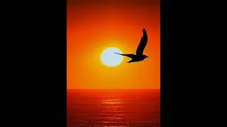46 sec Relaxing music for focus Stress relief music(2023)#shorts #ytshort  #relaxingmusic