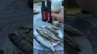 👍👍👍 #рыбалка #fishing #еда #bbq #рецепт #пиво #automobile #food #шашлык #carp