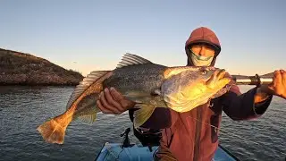 Excelente Pesca de Robalos y Curvina con Lupe Lofhis