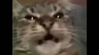 сука блять
