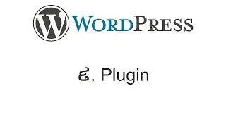 Lesson 9: WordPress Plugin