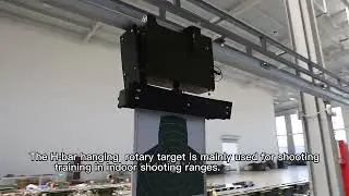 Hanging rotary target