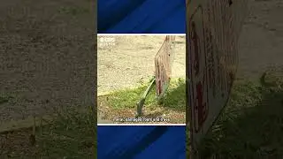 Cedar Park wakes to devastation following likely microburst 