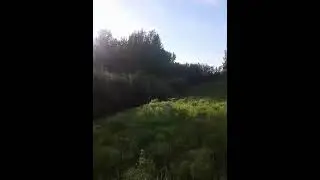 Осмотр летнего пастбище.