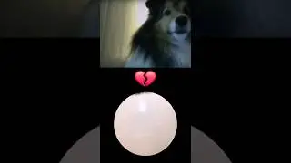 Mr Skoln #3
