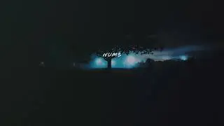 my head is empty - numb