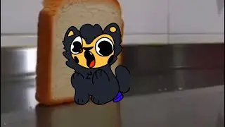 Bread