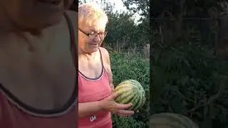 5 августа 2024 г.