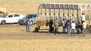 سباق الغريفات الثاني لسنة 2012