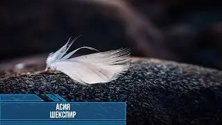 АСИЯ - ШЕКСПИР (Текст песни)