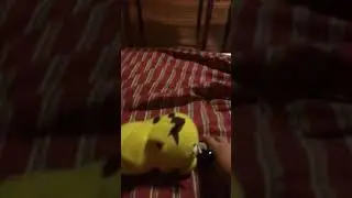 Pikachu poop a car