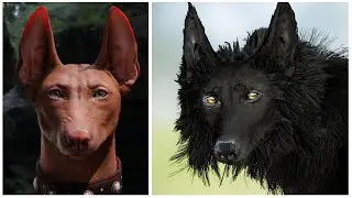 Wolf Hound Dog |  3d Portfolio Demo | Game Character 10,000 Tris | Blender 3.4