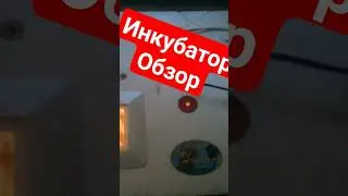 Обзор небольшого инкубатора, его использование, плюсы и минусы
