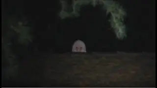 EVIL Creature Caught On Video Tape Climbing On Roof by Jeremysgrina EDITED