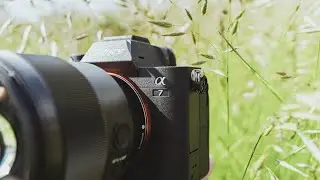 I Upgraded to the Sony A74! Should You?
