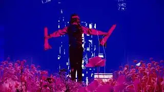 Noel Gallagher's High Flying Birds - Think Of A Number (Official Visualiser)