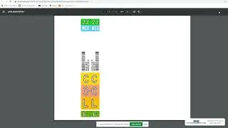 ColorBar Labeling System Alternative Training
