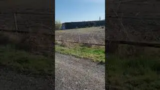 #польша #лошади #ипподром