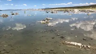 Mono Lake Up Close.