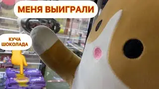 ГИГАНТСКОГО КОТА ВЫИГРАЛ В АВТОМАТАХ ХВАТАЙКА  И КУЧУ ШОКОЛАДА! Won the big cat in the machine!