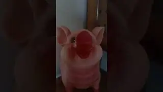 Highlight 44:25 – 49:25 from CUTE PIGGY BANK.LIVE PO 1/22/26