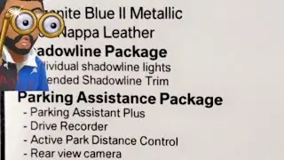 Discovering My BMW Has Parking Assistance Package 😂