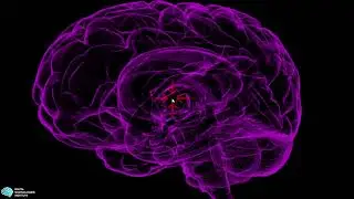 202305 My Computer Brain Trailer