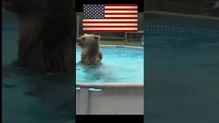 USA VS RUSSIA 