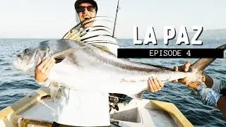 Episode 4 La Paz - A Fishing Trip For The Books!