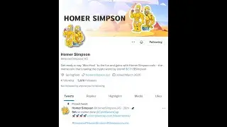 Crypto Coin HomerSIMPSON (The Next Pepe?!) WATCH BEFORE BUYING  💎💪🏼🚀