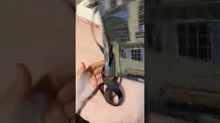 Ленивый Боро Часть2, сшила сумочку 05.04.24