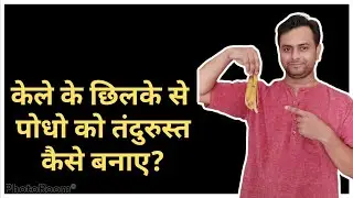 केले के छिलको से पोटैशियम कैसे दे पौधों को  | Banana Peel Compost
