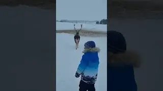 Кормим Оленя с братаном!