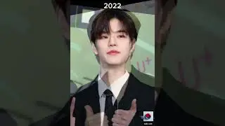 #seungmin (StrayKids) Visual Transformation (2017~2024)