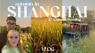 vlog: chinese traditional wedding 🍁 autumn in shanghai 