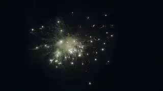 20220515519