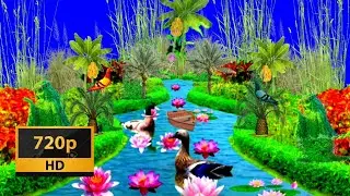 HD RIVER BACKGROUND | GREEN SCREEN VIDEO | 3D River Green Screen Grren screen effect Minhaj ||
