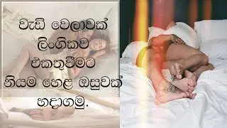 වැඩි වේලාවක් ලිංගිකව එකතුවීමට නියම හෙළ ඔසුවක්. Sex for medicine#